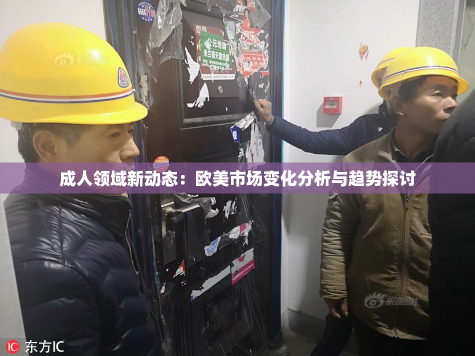成人领域新动态：欧美市场变化分析与趋势探讨
