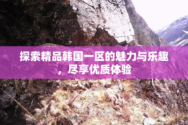 探索精品韩国一区的魅力与乐趣，尽享优质体验