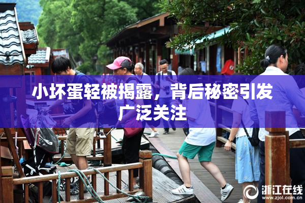小坏蛋轻被揭露，背后秘密引发广泛关注