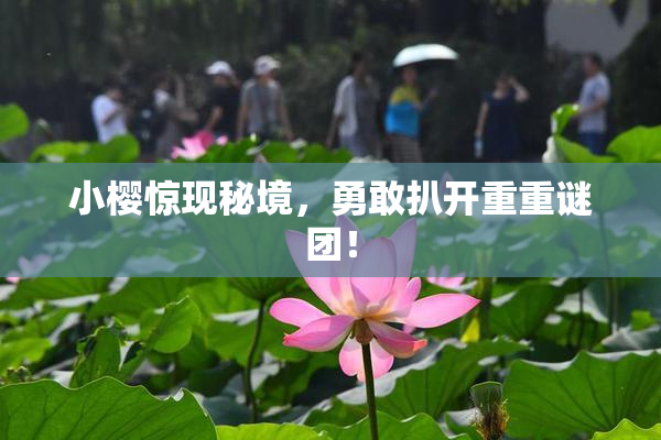 小樱惊现秘境，勇敢扒开重重谜团！