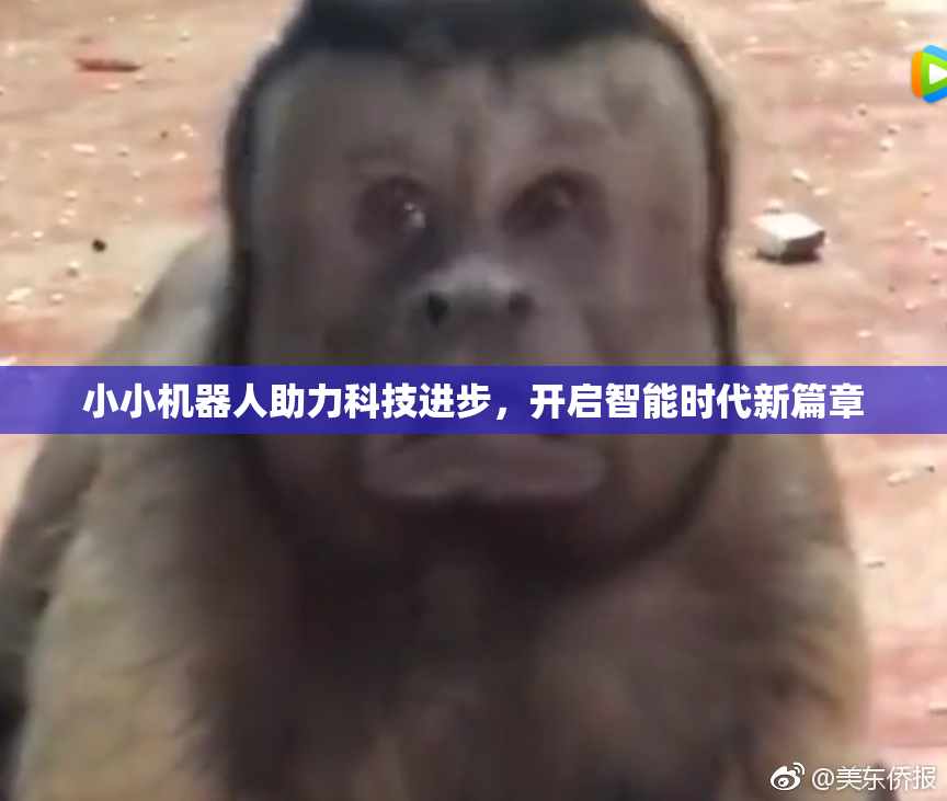 小小机器人助力科技进步，开启智能时代新篇章