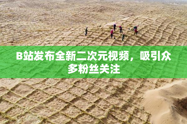B站发布全新二次元视频，吸引众多粉丝关注
