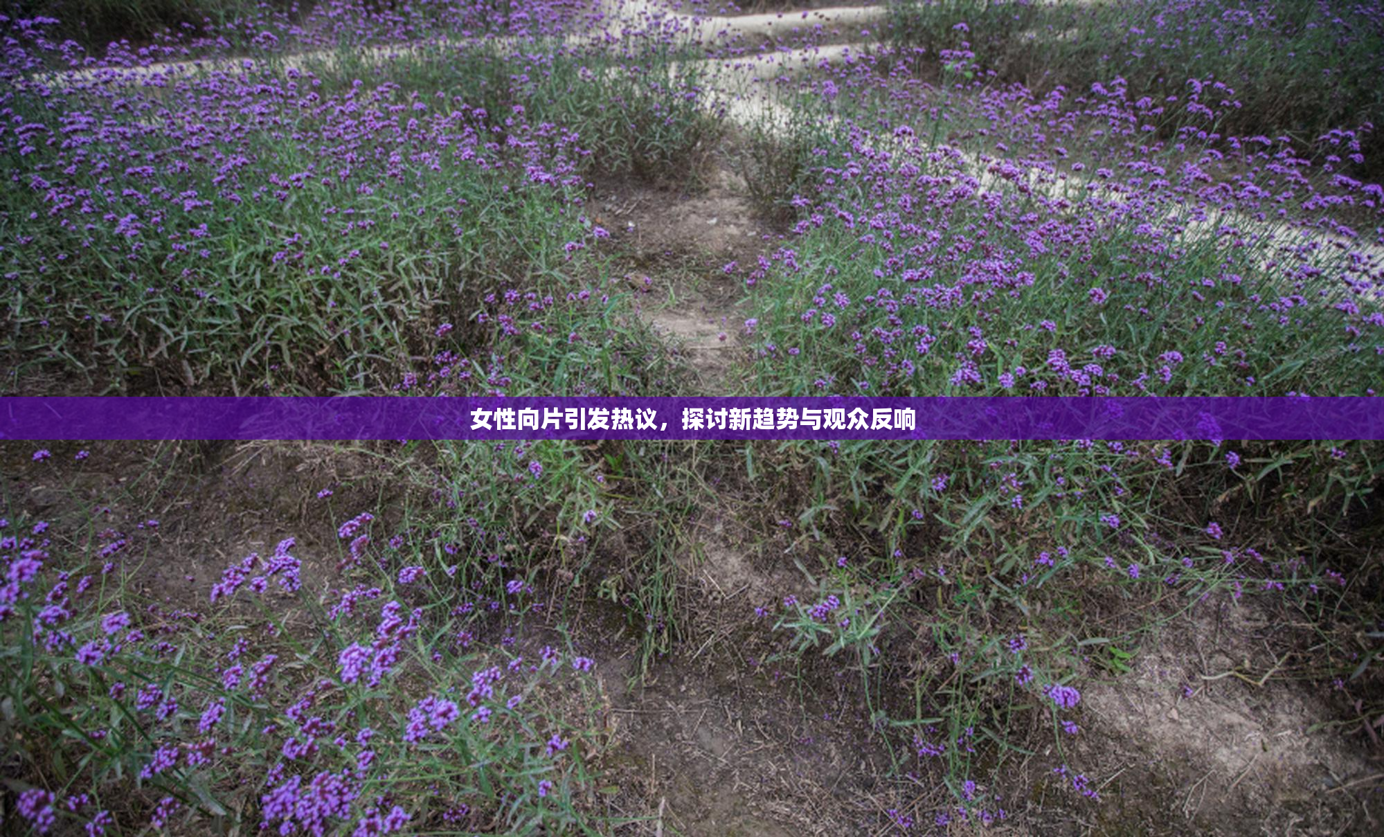 女性向片引发热议，探讨新趋势与观众反响