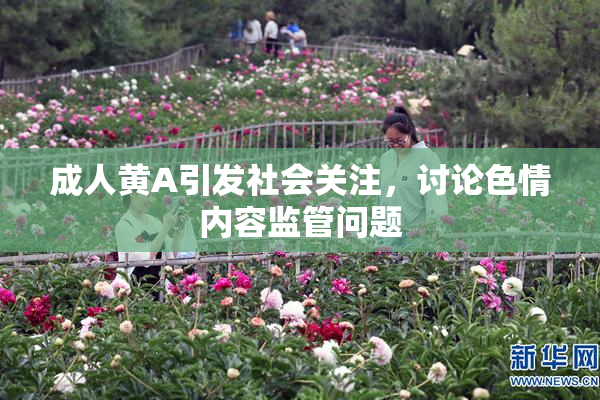 成人黄A引发社会关注，讨论色情内容监管问题