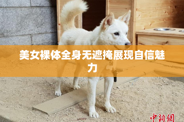 美女裸体全身无遮掩展现自信魅力