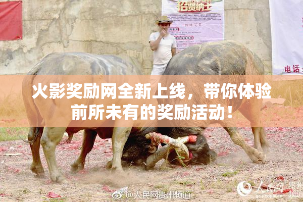 火影奖励网全新上线，带你体验前所未有的奖励活动！
