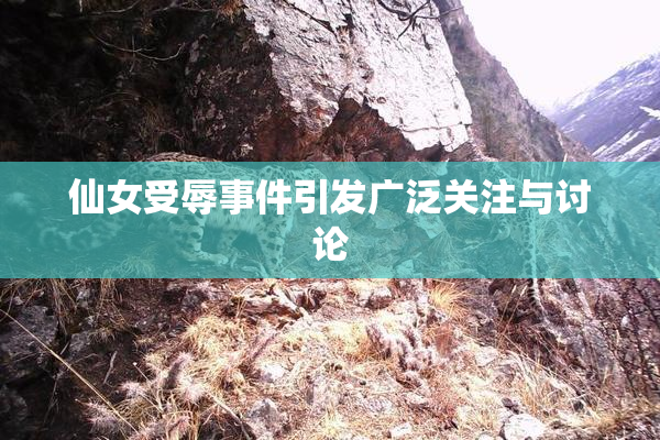 仙女受辱事件引发广泛关注与讨论