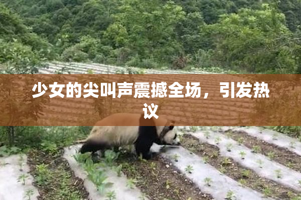 少女的尖叫声震撼全场，引发热议