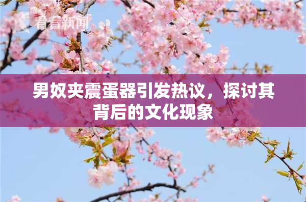 男奴夹震蛋器引发热议，探讨其背后的文化现象