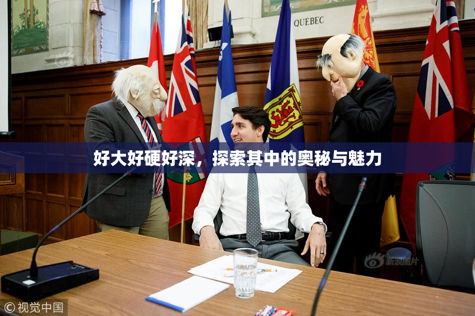 好大好硬好深，探索其中的奥秘与魅力
