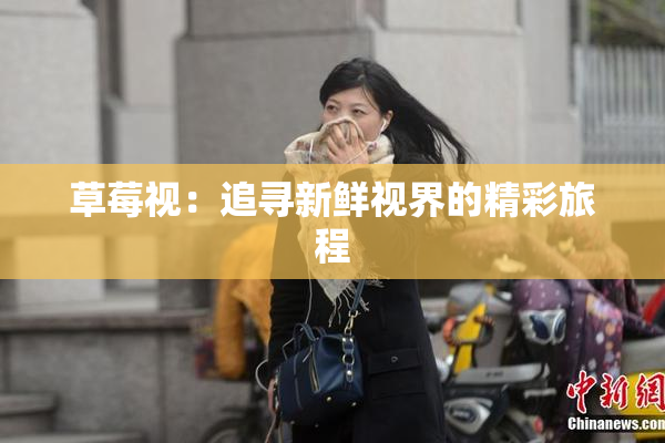 草莓视：追寻新鲜视界的精彩旅程
