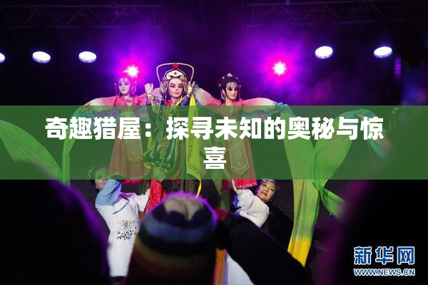 奇趣猎屋：探寻未知的奥秘与惊喜