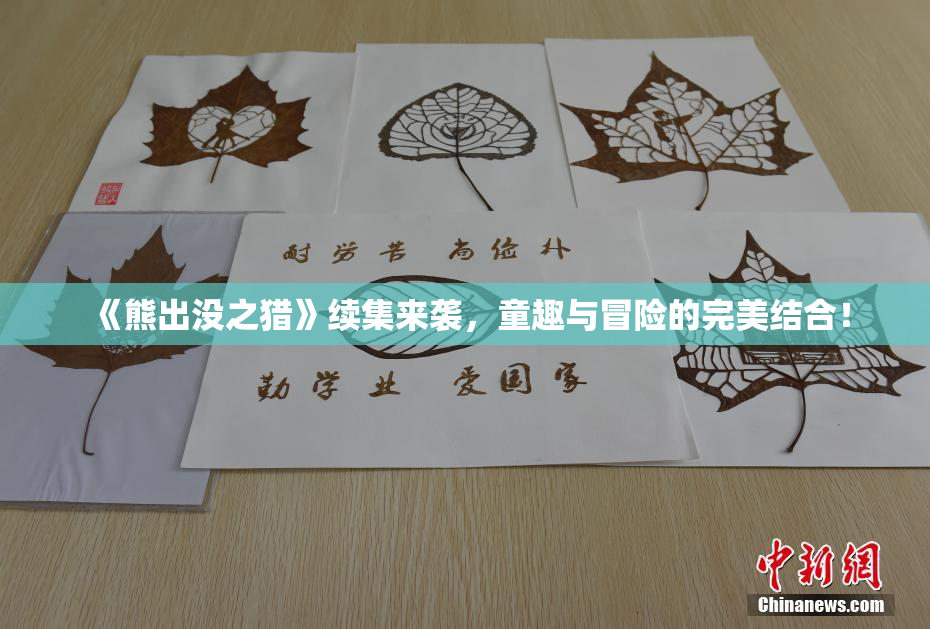 《熊出没之猎》续集来袭，童趣与冒险的完美结合！