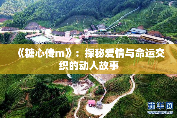 《糖心传m》：探秘爱情与命运交织的动人故事