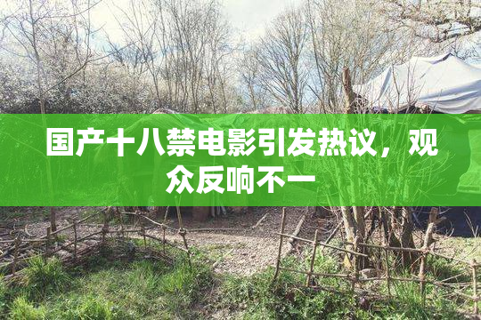 国产十八禁电影引发热议，观众反响不一
