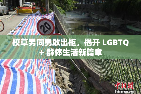 校草男同勇敢出柜，揭开 LGBTQ+ 群体生活新篇章