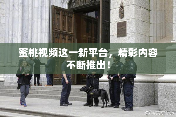 蜜桃视频这一新平台，精彩内容不断推出！