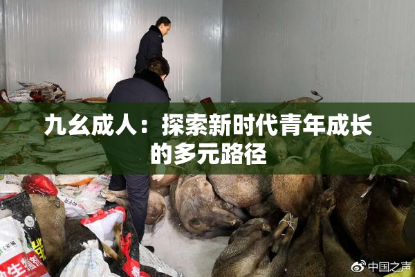 九幺成人：探索新时代青年成长的多元路径