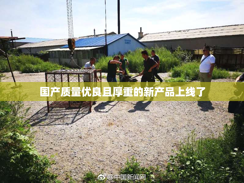 国产质量优良且厚重的新产品上线了