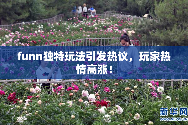 funn独特玩法引发热议，玩家热情高涨！