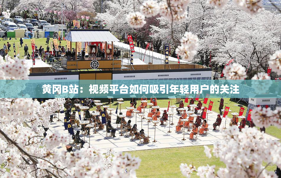 黄冈B站：视频平台如何吸引年轻用户的关注