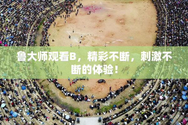 鲁大师观看B，精彩不断，刺激不断的体验！