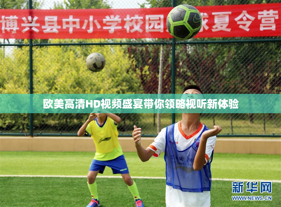 欧美高清HD视频盛宴带你领略视听新体验
