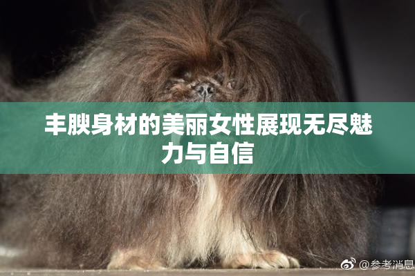 丰腴身材的美丽女性展现无尽魅力与自信