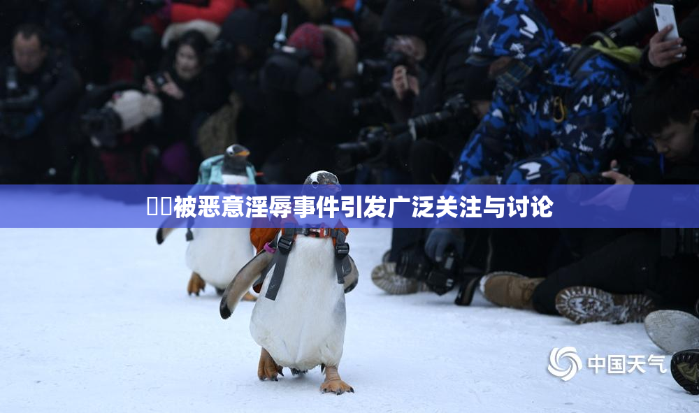 妺妺被恶意淫辱事件引发广泛关注与讨论