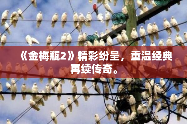 《金梅瓶2》精彩纷呈，重温经典再续传奇。