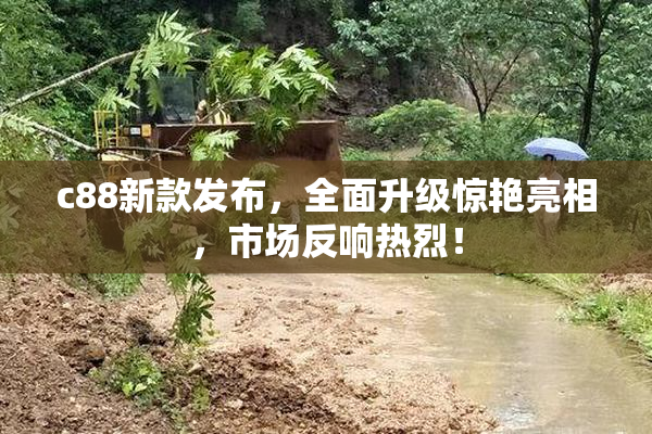 c88新款发布，全面升级惊艳亮相，市场反响热烈！