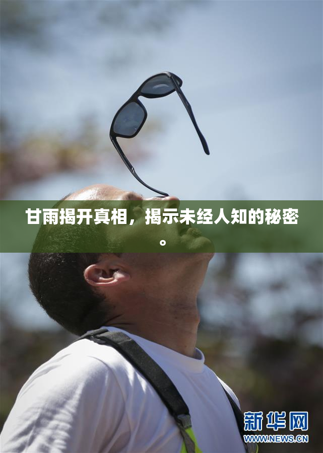 甘雨揭开真相，揭示未经人知的秘密。