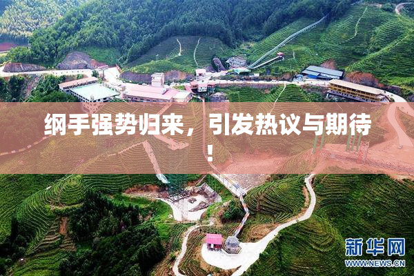 纲手强势归来，引发热议与期待！