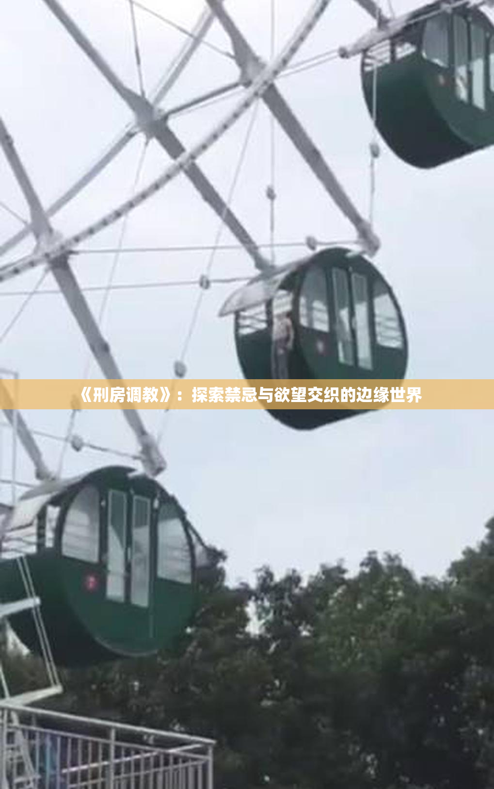 《刑房调教》：探索禁忌与欲望交织的边缘世界