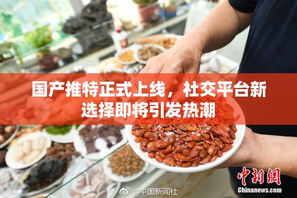 国产推特正式上线，社交平台新选择即将引发热潮