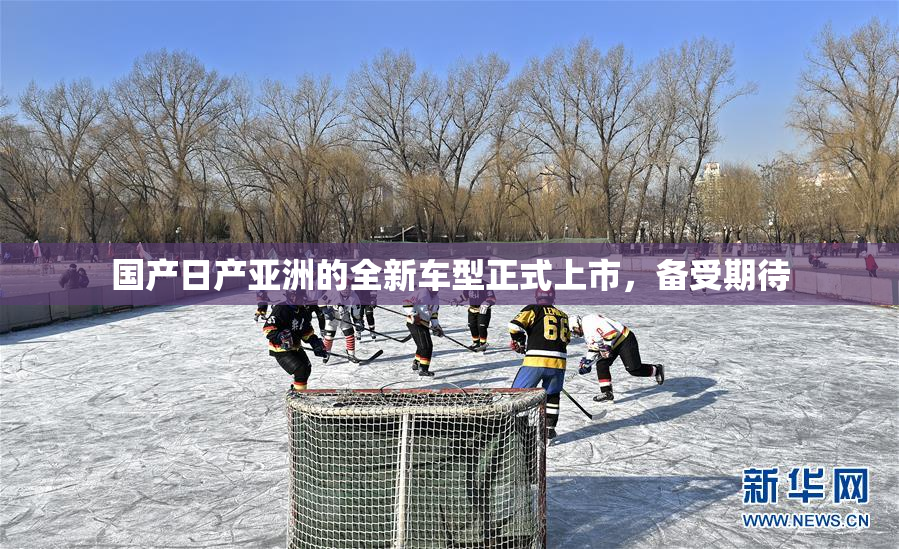 国产日产亚洲的全新车型正式上市，备受期待