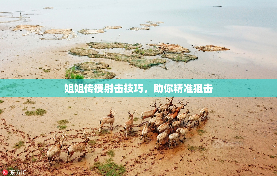 姐姐传授射击技巧，助你精准狙击