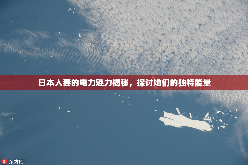 日本人妻的电力魅力揭秘，探讨她们的独特能量