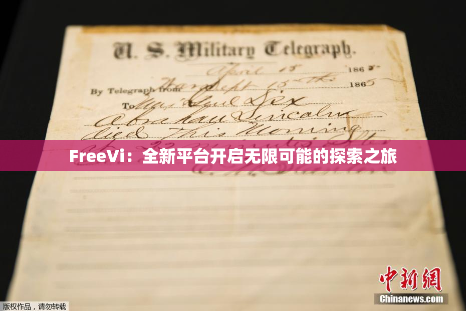 FreeVi：全新平台开启无限可能的探索之旅