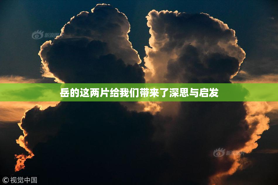 岳的这两片给我们带来了深思与启发