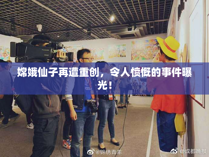 嫦娥仙子再遭重创，令人愤慨的事件曝光！