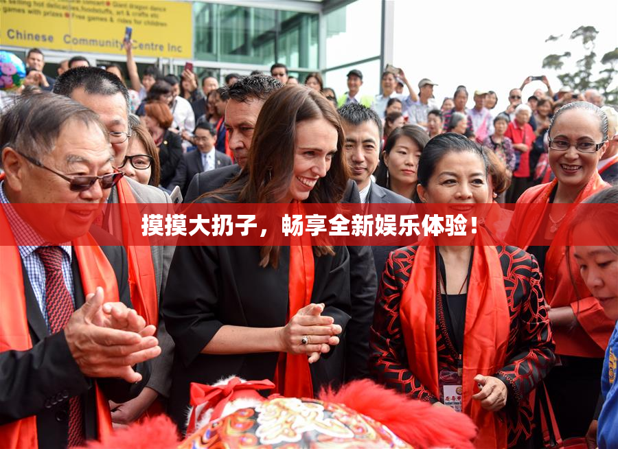 摸摸大扔子，畅享全新娱乐体验！