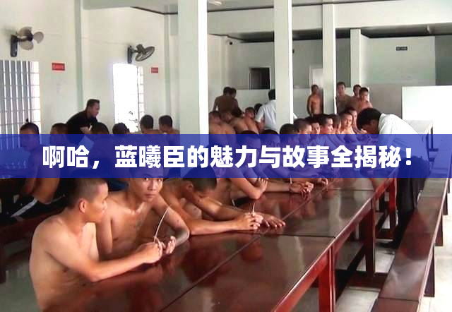 啊哈，蓝曦臣的魅力与故事全揭秘！