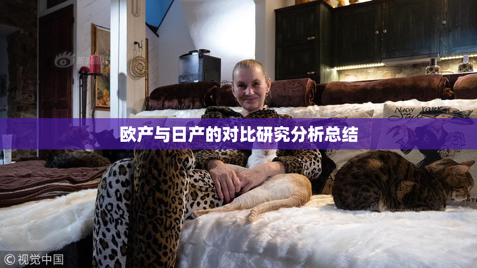 欧产与日产的对比研究分析总结