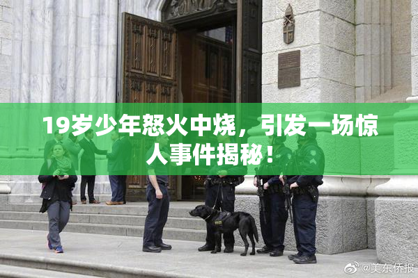 19岁少年怒火中烧，引发一场惊人事件揭秘！