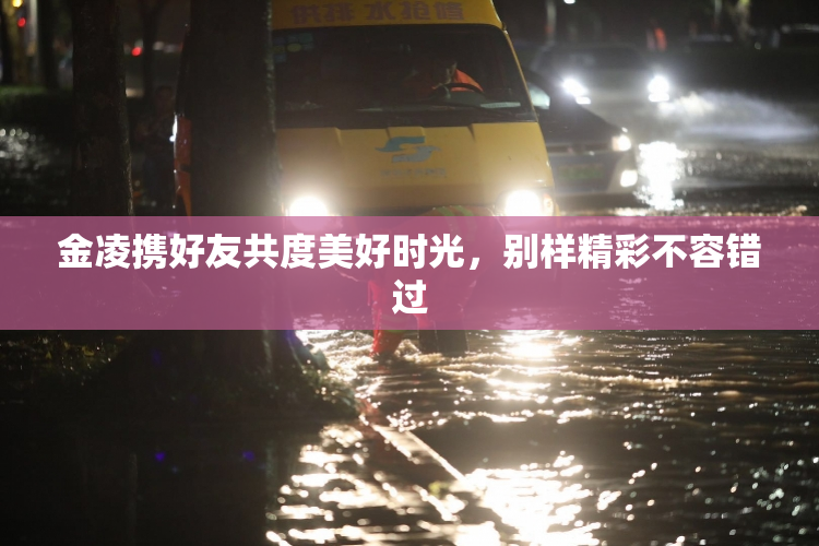 金凌携好友共度美好时光，别样精彩不容错过