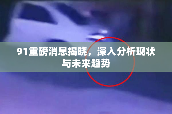 91重磅消息揭晓，深入分析现状与未来趋势