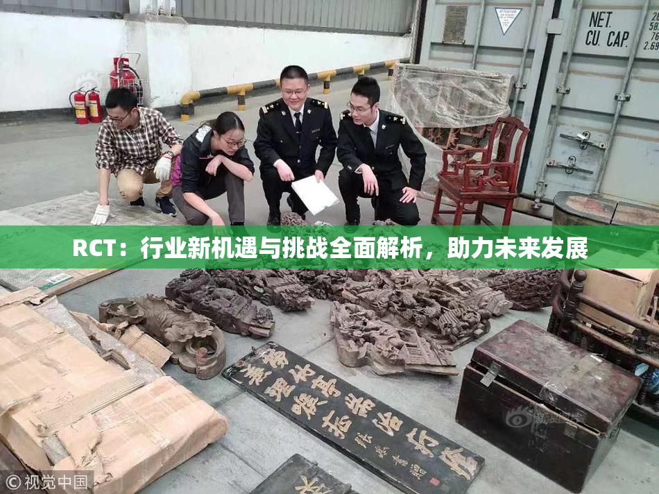 RCT：行业新机遇与挑战全面解析，助力未来发展
