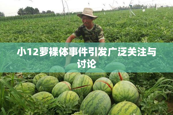 小12萝裸体事件引发广泛关注与讨论