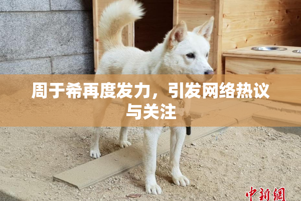 周于希再度发力，引发网络热议与关注